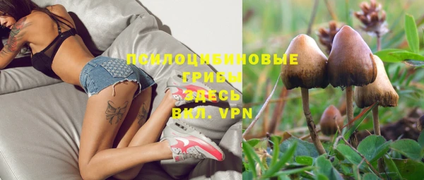 дурь Кодинск