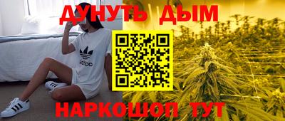 шишки Новозыбков