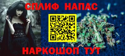 шишки Новозыбков