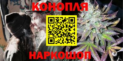 шишки Новозыбков