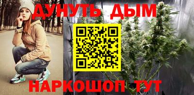 шишки Новозыбков