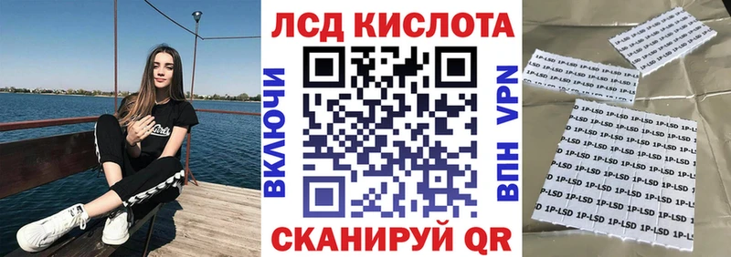 darknet как зайти  закладки  Махачкала  Марки NBOMe 1500мкг 