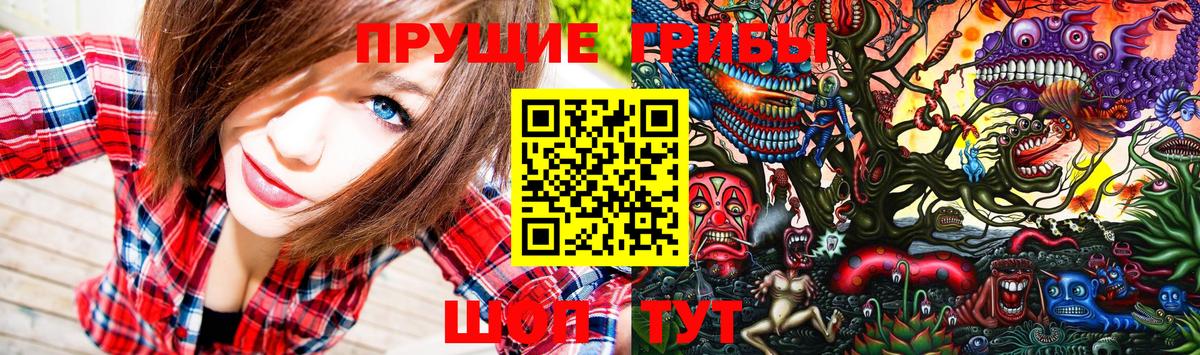 Галлюциногенные грибы Psilocybe Махачкала